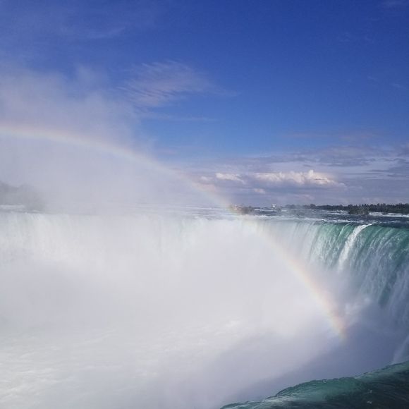 Meet your Posher, Kyla - Picture 1 of 1